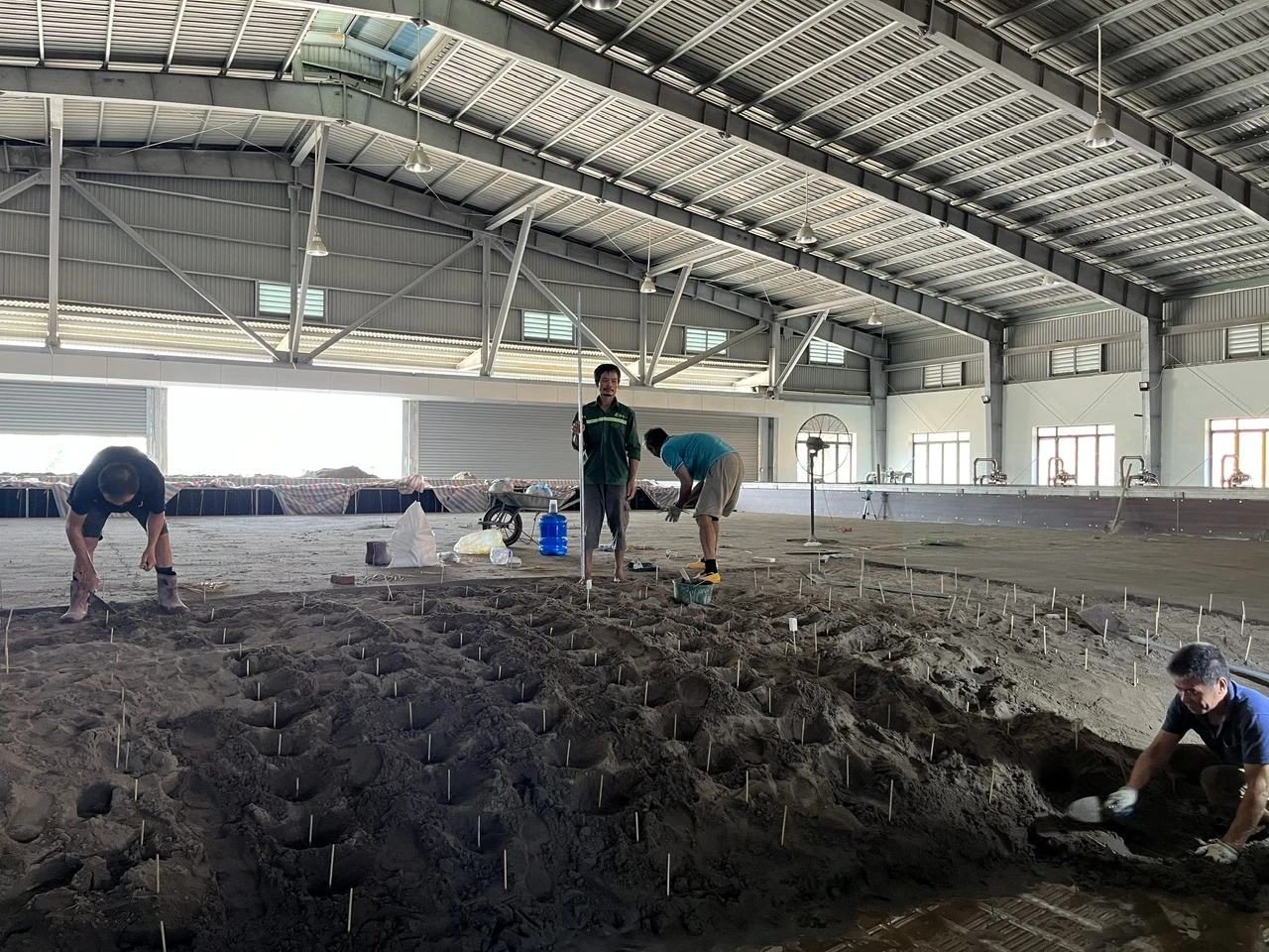 Hệ thống thí nghiệm mô hình cửa sông