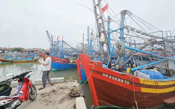 Phòng chống thiên tai gắn chặt với phát triển kinh tế xã hội